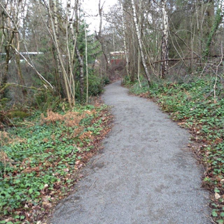 The compacted gravel trail leads down to the creek